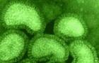 Antivirový lék Kagocel: klady a zápory