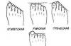 Az ember karakterét a lábujjak görög láb karaktere alapján határozzuk meg
