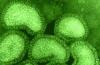 Antivírusový liek Kagocel: klady a zápory